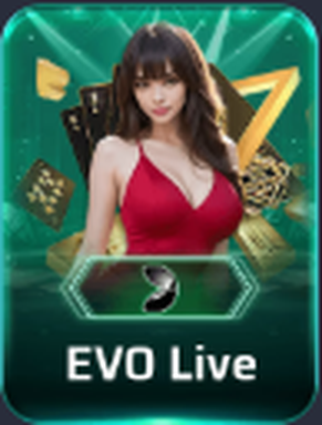 EVO Live Live Dealer Game on 345win